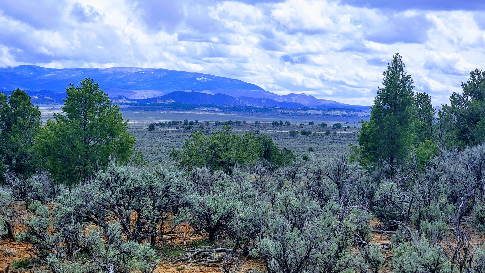 Sagebrush hillside with juniper trees and distant mountains at Sanctuary Ranch, Rio Arriba County, New Mexico
