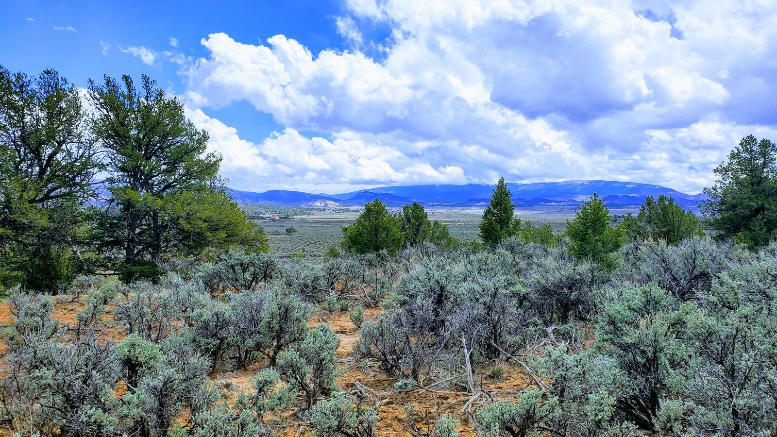 Sagebrush and juniper under a cloud-filled sky at Sanctuary Ranch, Rio Arriba County, New Mexico