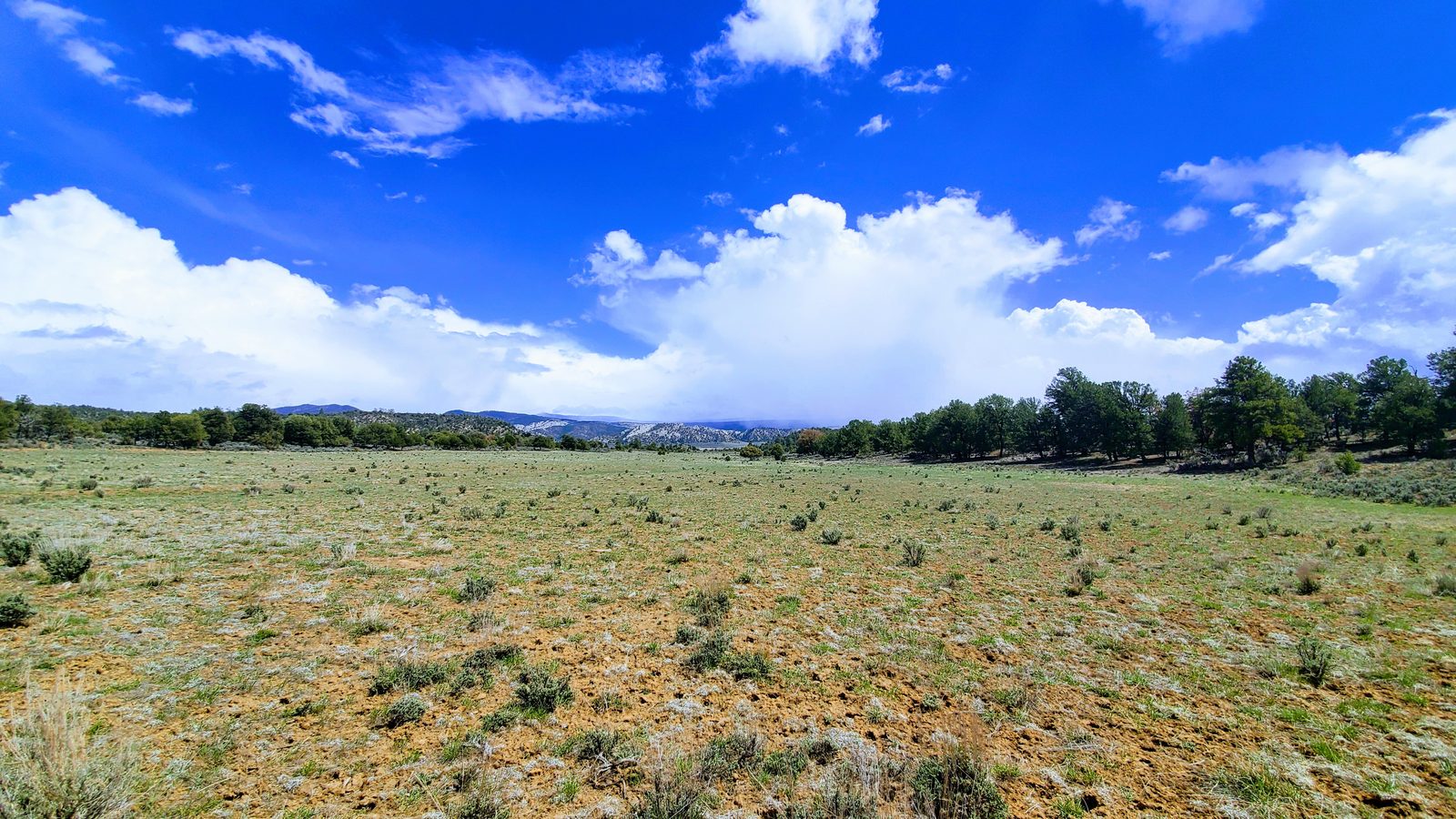 Open grass meadow under blue sky and clouds at Sanctuary Ranch, Rio Arriba County, New Mexico