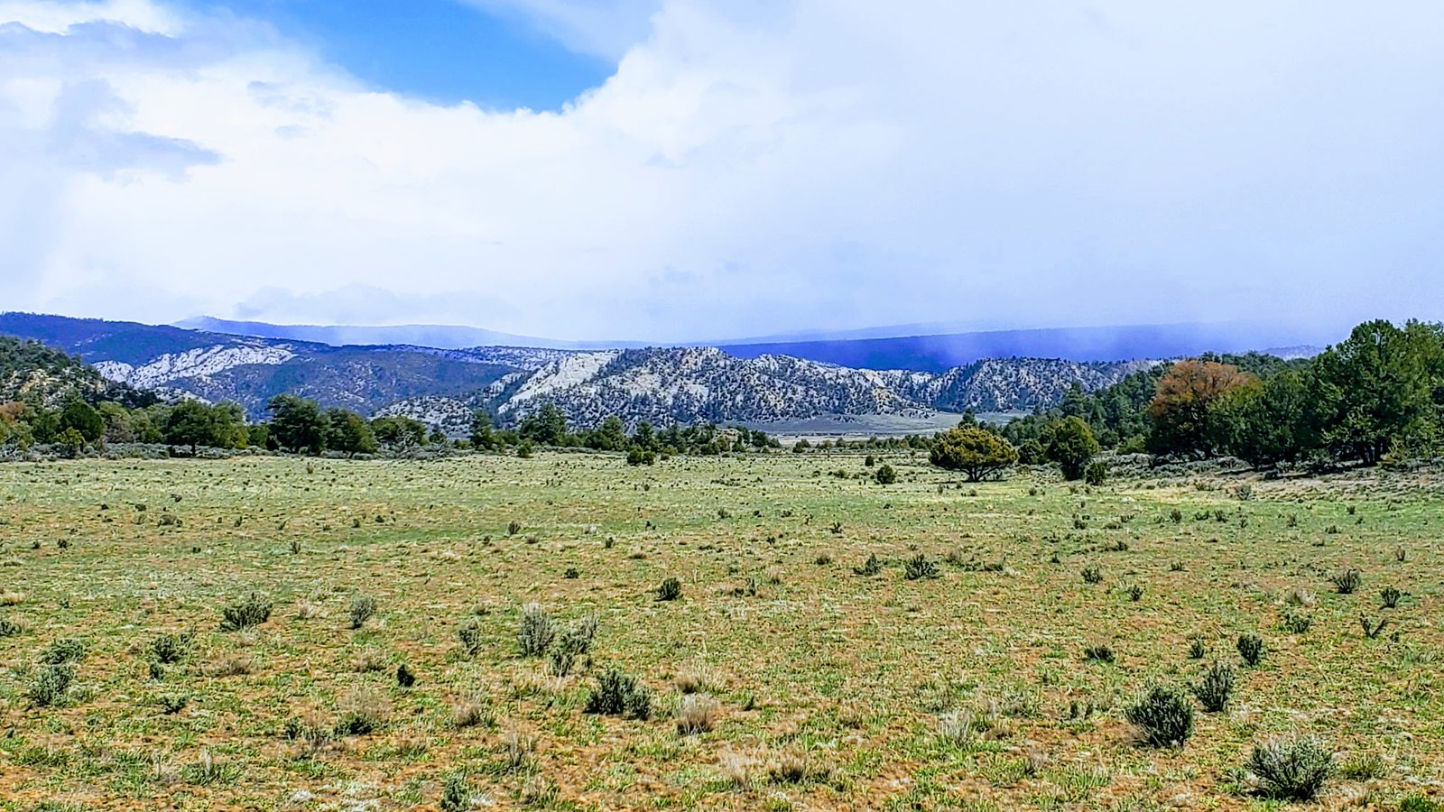Grassy flat with a mountain range on the horizon at Sanctuary Ranch, Rio Arriba County, New Mexico