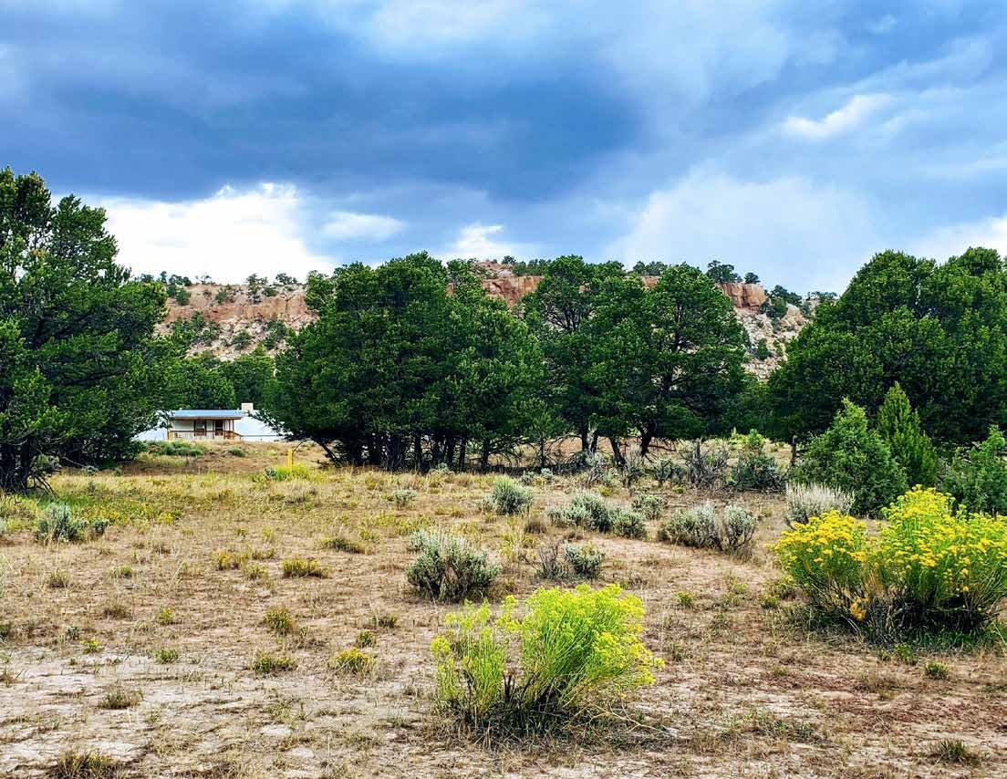 Valley and forested slopes at Secret Valley Ranch, Rio Arriba County, New Mexico