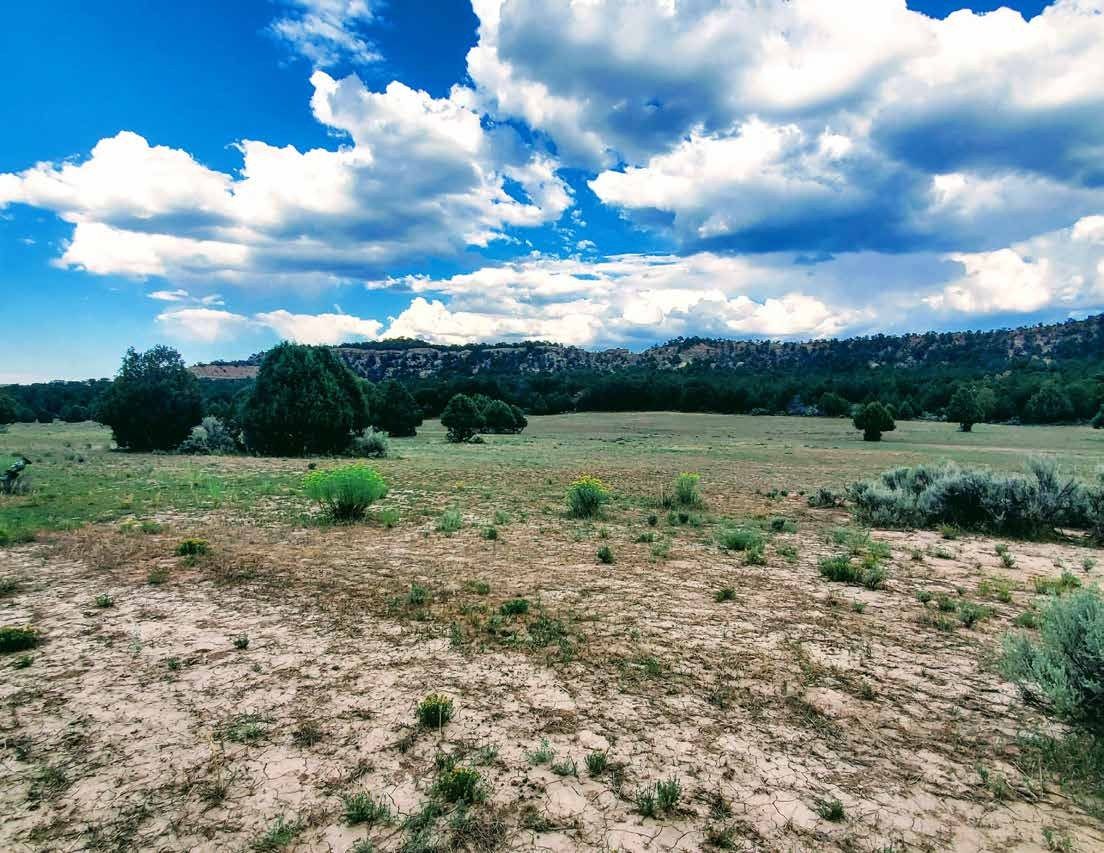 Dry grass, shrubs, and trees below a rocky ridge at Secret Valley Ranch, Rio Arriba County, New Mexico