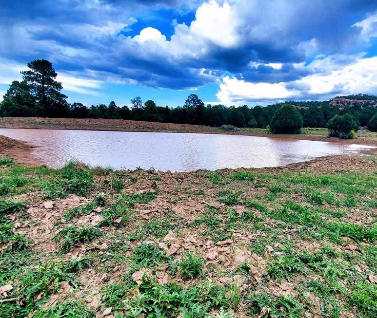 Wide pond with a bare dirt shore, trees, and a rocky ridge at Secret Valley Ranch, Rio Arriba County, New Mexico