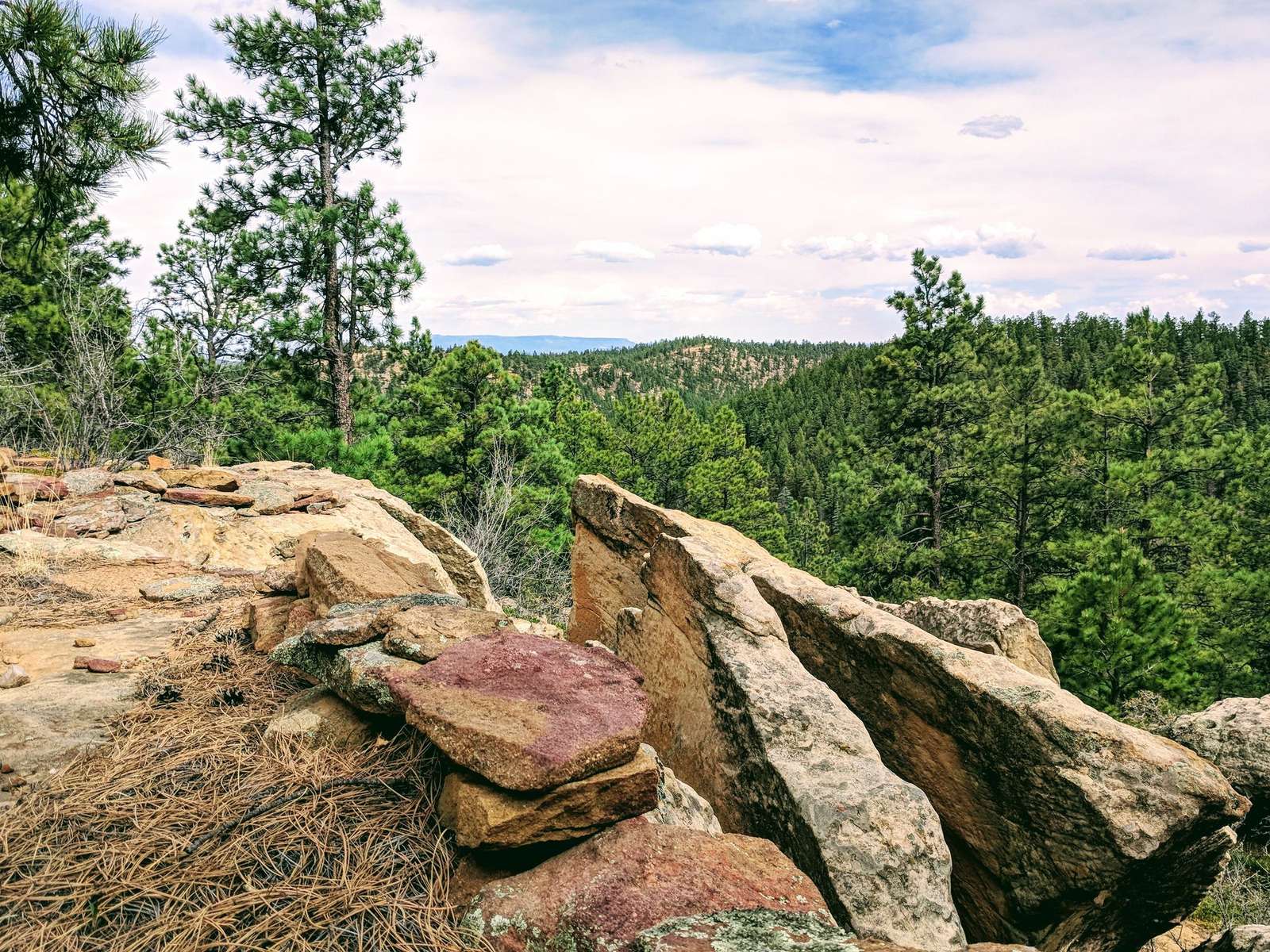 Rocks and pines overlooking a forested ridge at Wilderness Ridge, Las Animas County, Colorado