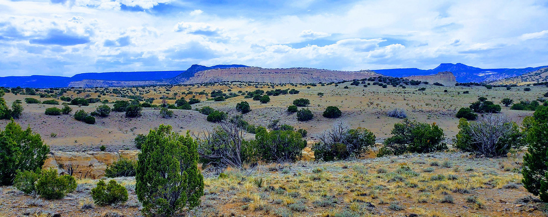 Romero Ranch, New Mexico for sale exclusively with Ranch ...